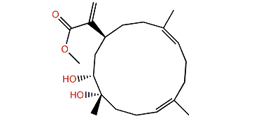 Sinuflexibilin C